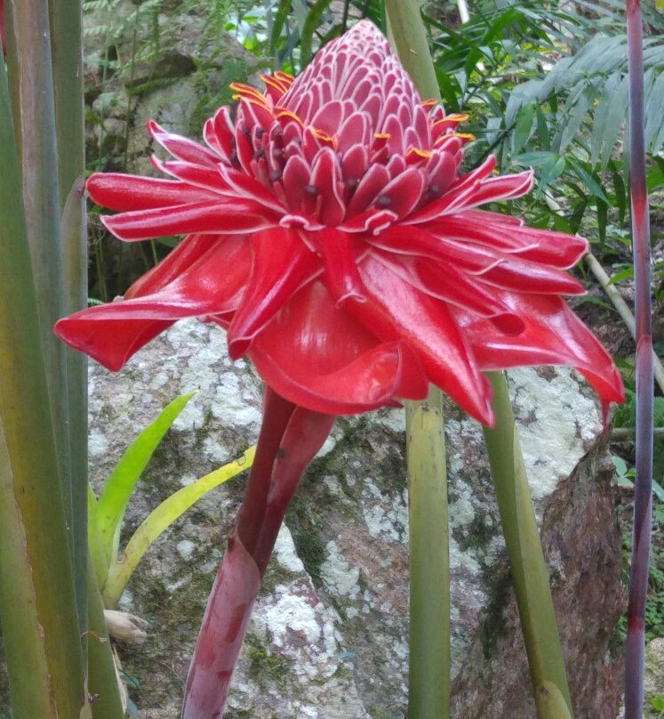 Zhaveta Yard-拉梅尔塞必去景点