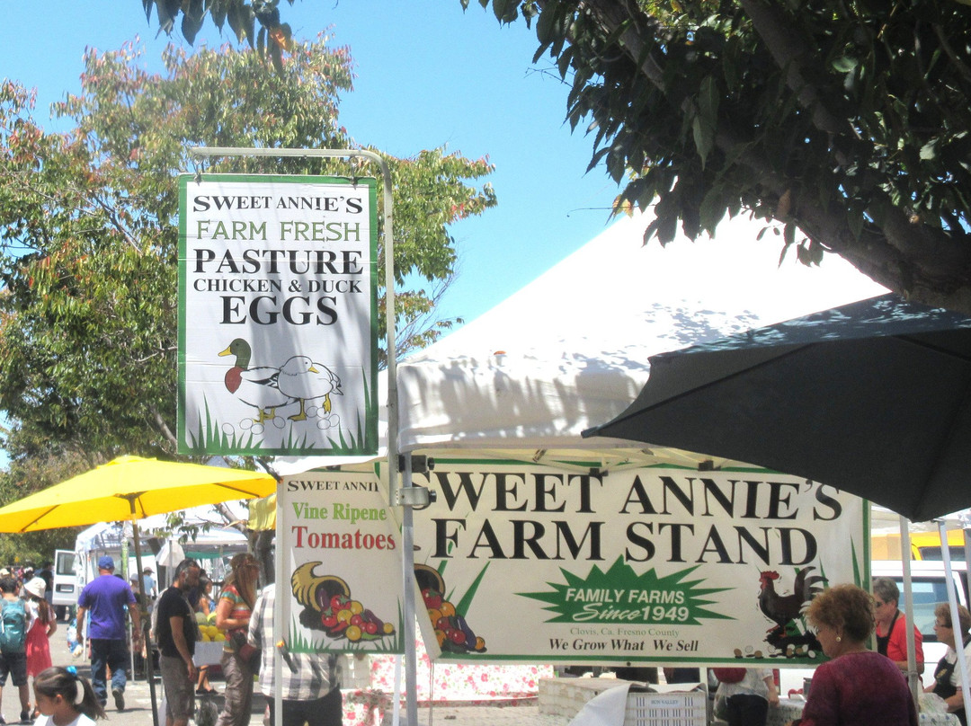 Mountain View Farmers Market景点图片