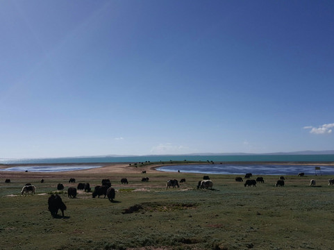 鄂陵湖-玛多县必去景点