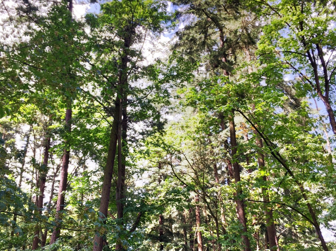 Sammamish River Trail-雷德蒙德必去景点