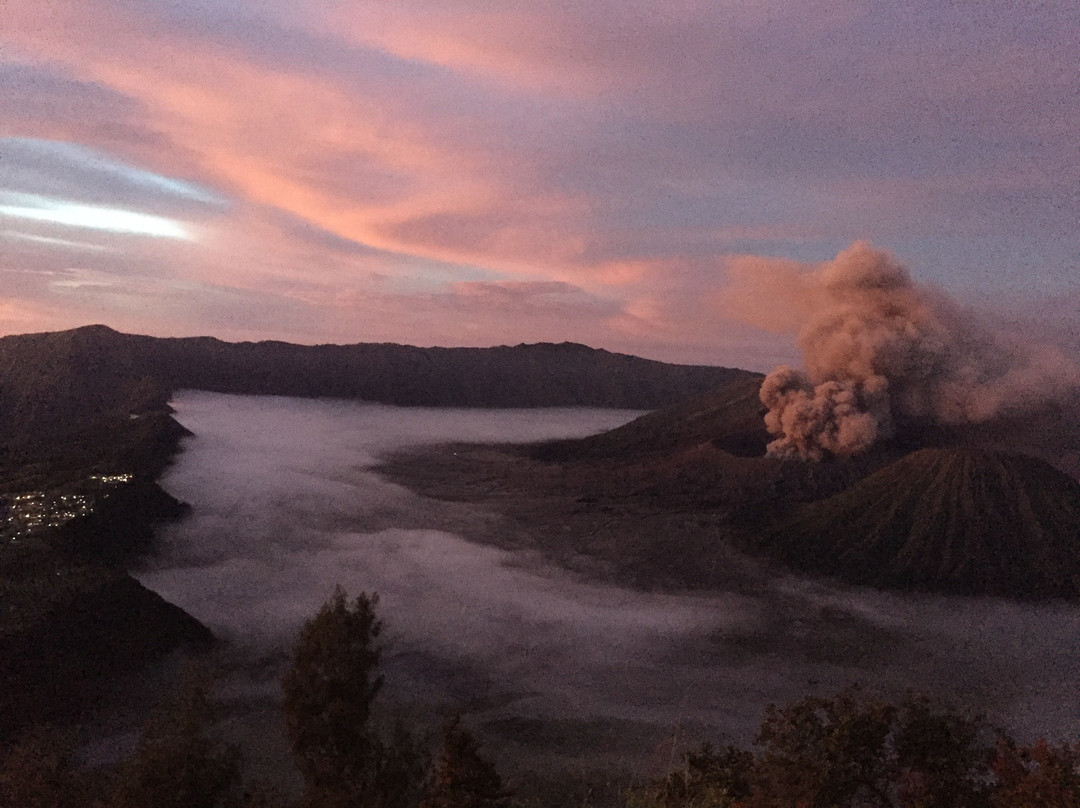Javaindo Ecotourism Tour & Travel-巴纽旺宣必去景点