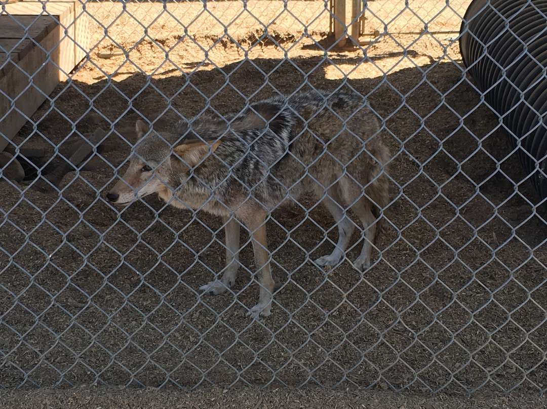The Barry R. Kirshner Wildlife Foundation景点图片