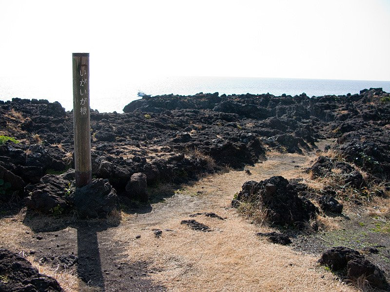 Izu Highlands景点图片