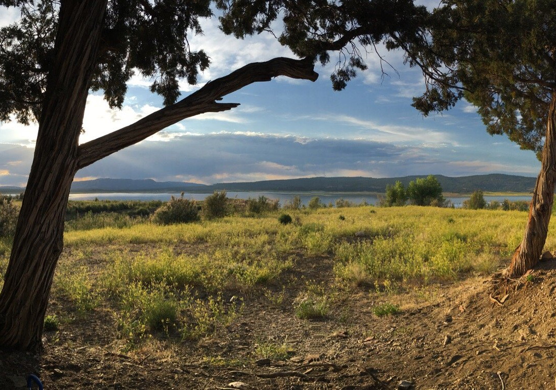 Heron Lake State Park景点图片