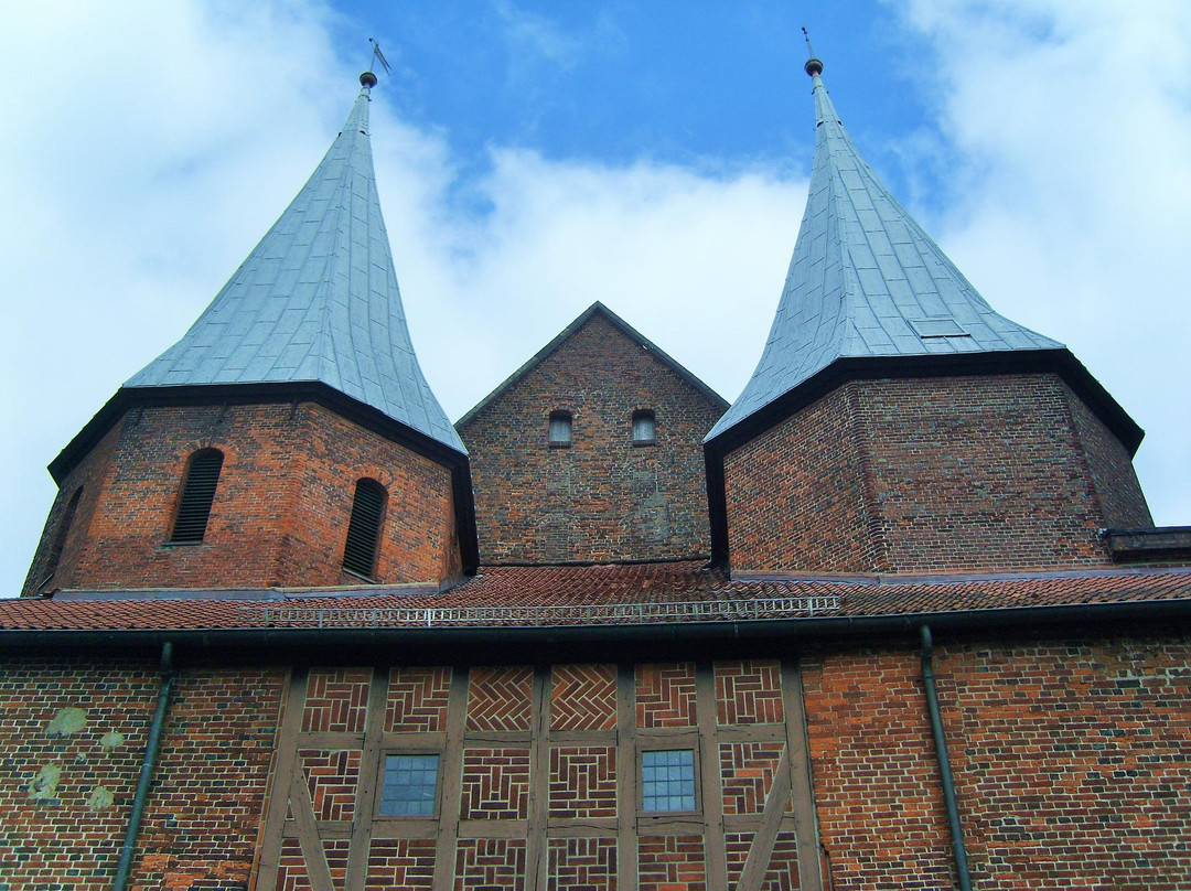 Adendorf旅游景点-Dom zu Bardowick St. Peter und Paul