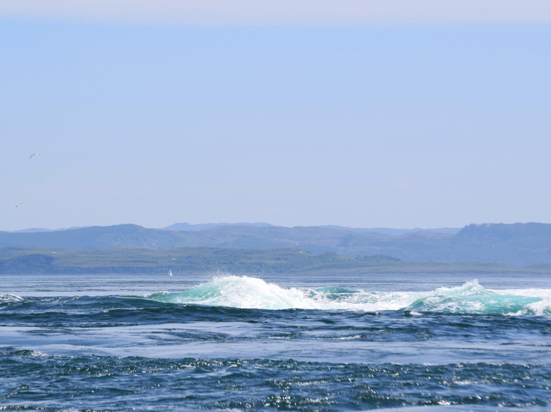 Corryvreckan Whirlpool景点图片