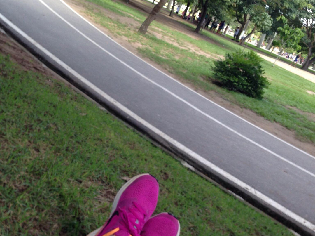 Parque da Crianca景点图片