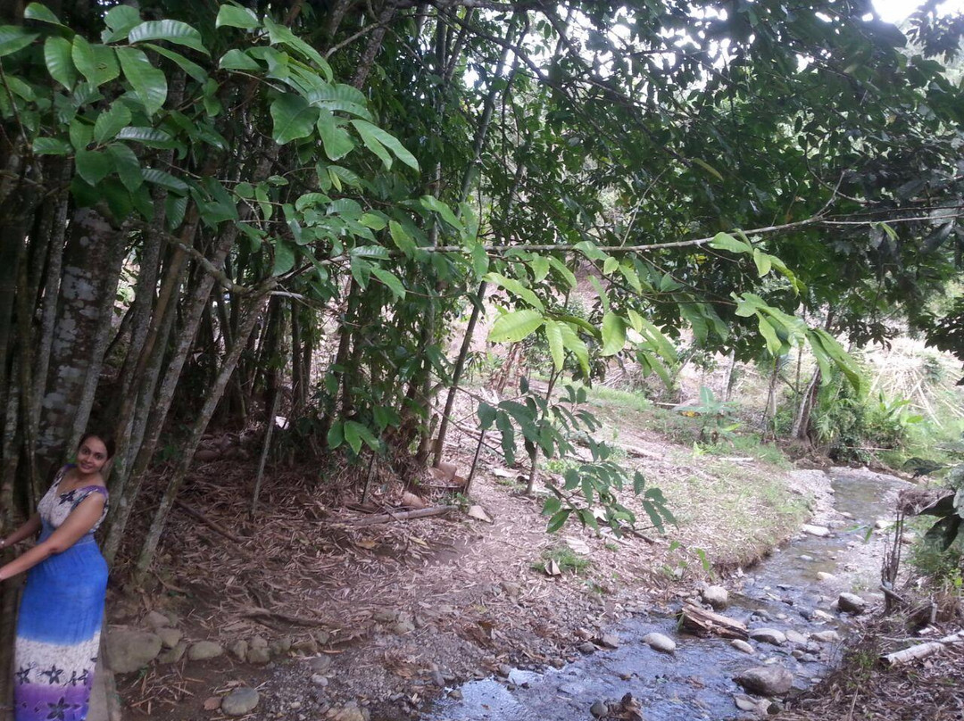 Napalus Rafflesia Garden-Poring必去景点