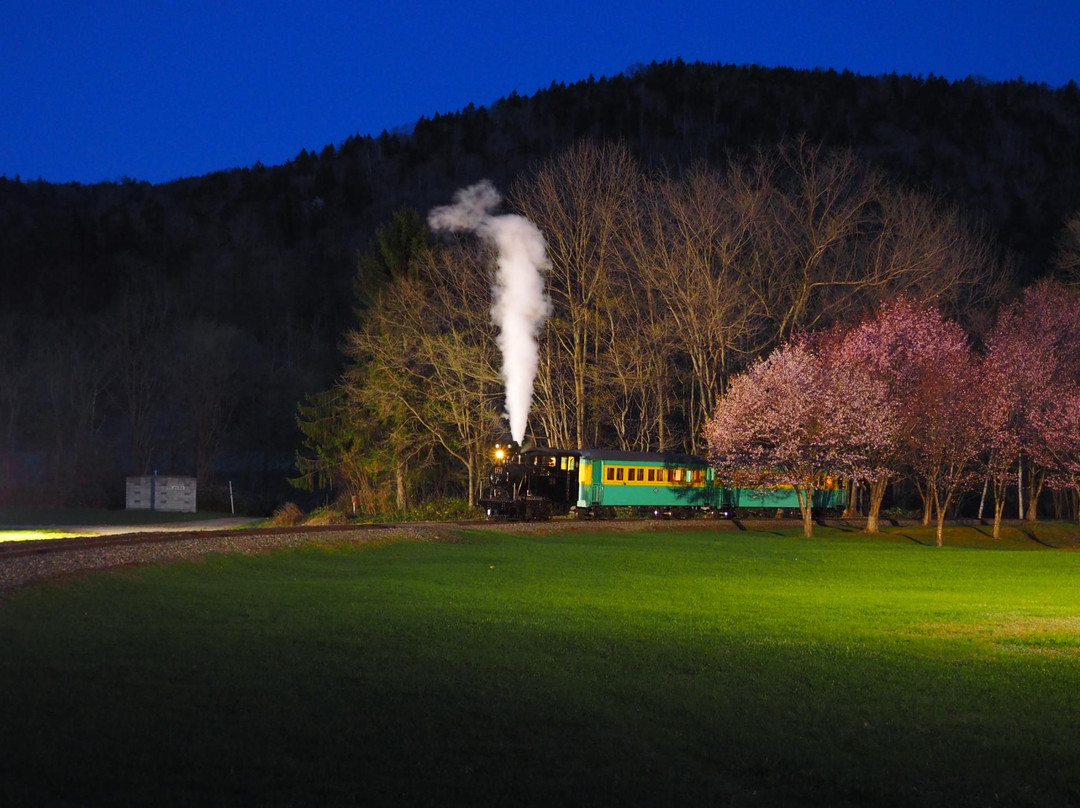 Shinrin Park Ikoi no Mori-远轻町必去景点