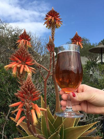 Red Bank Cider景点图片