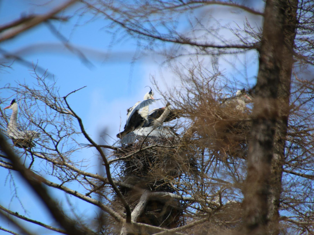 塘路湖生態博物館中心-标茶町必去景点