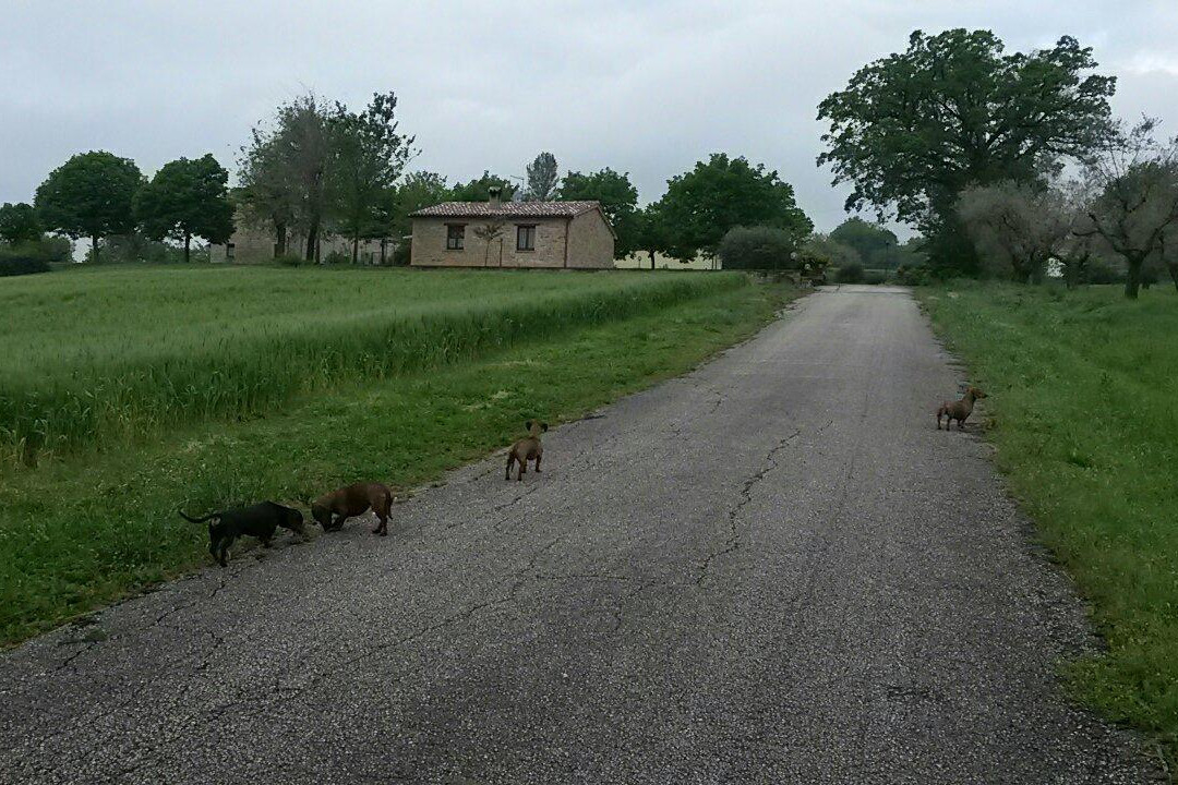 Agriturismo Le Querce主图