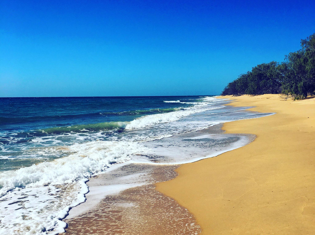 Burrum Coast National Park景点图片