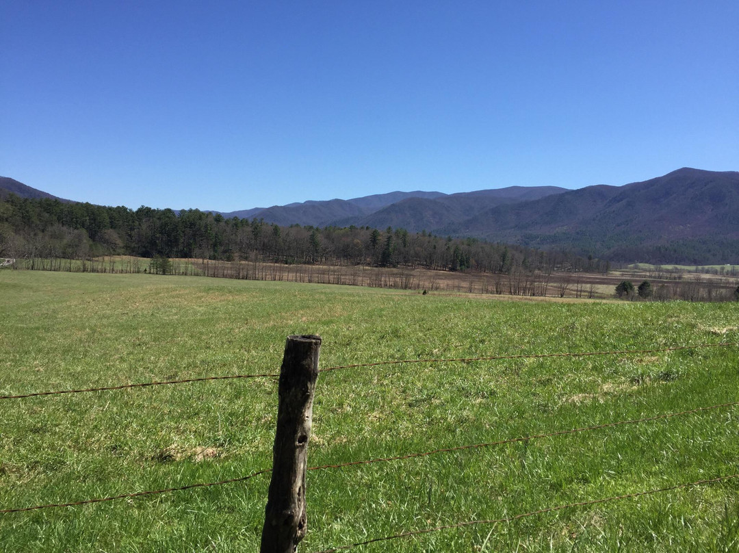 Eckert's Orchard-Versailles必去景点