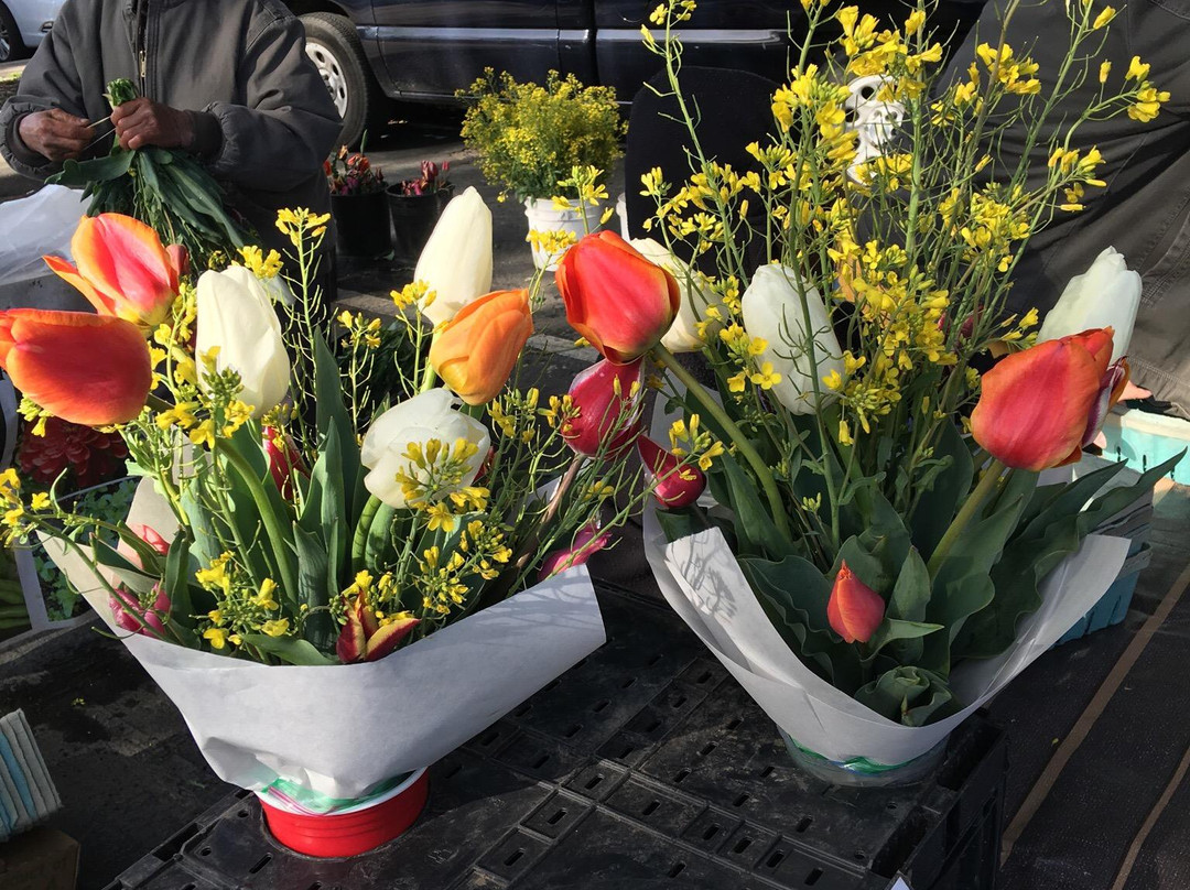 Overland Park Farmers Market-欧弗兰帕克必去景点