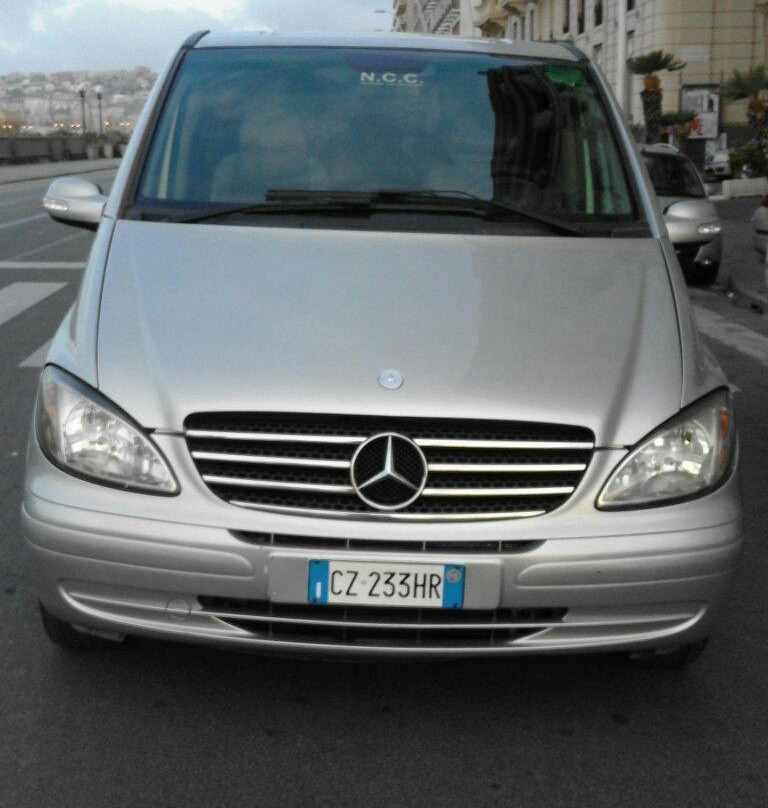 Naples Car Service Tour-萨勒诺必去景点