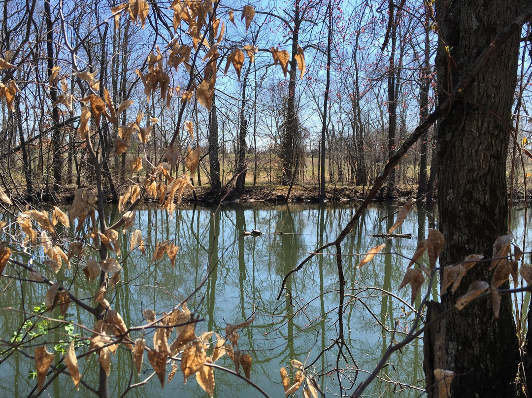 Delaware and Raritan Canal State Park-South Bound Brook必去景点