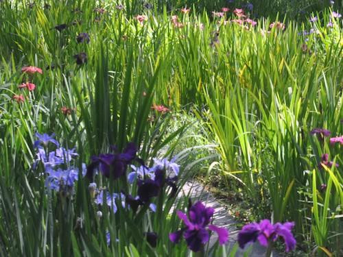 Briarwood - The Caroline Dormon Nature Preserve景点图片