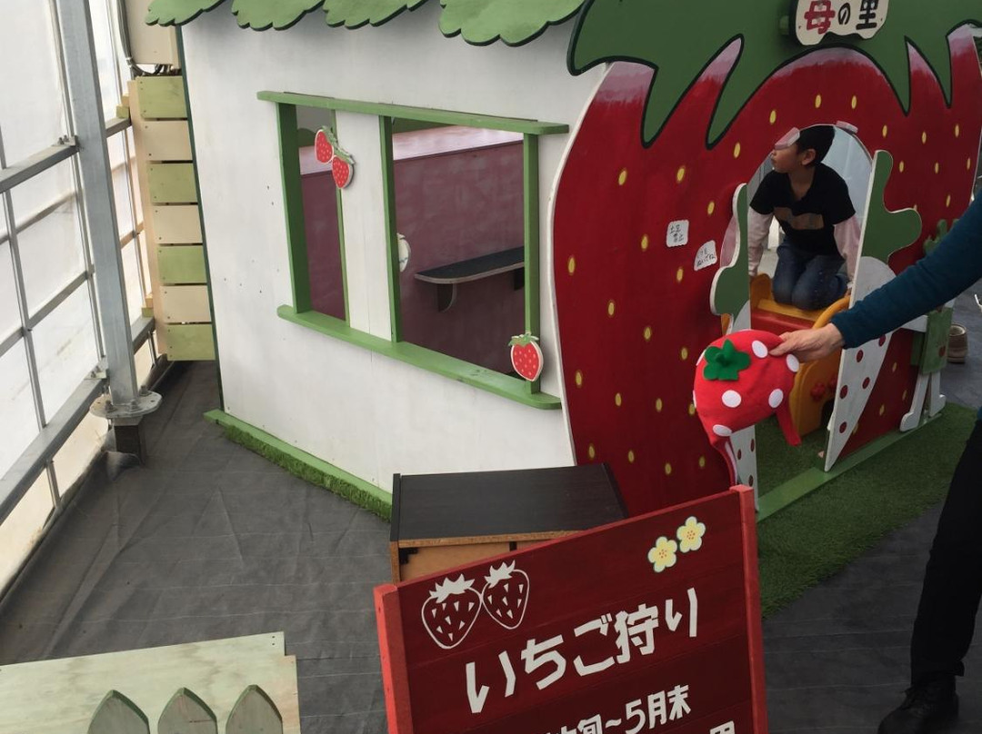 Ichigo-no-Sato-毛吕山町必去景点