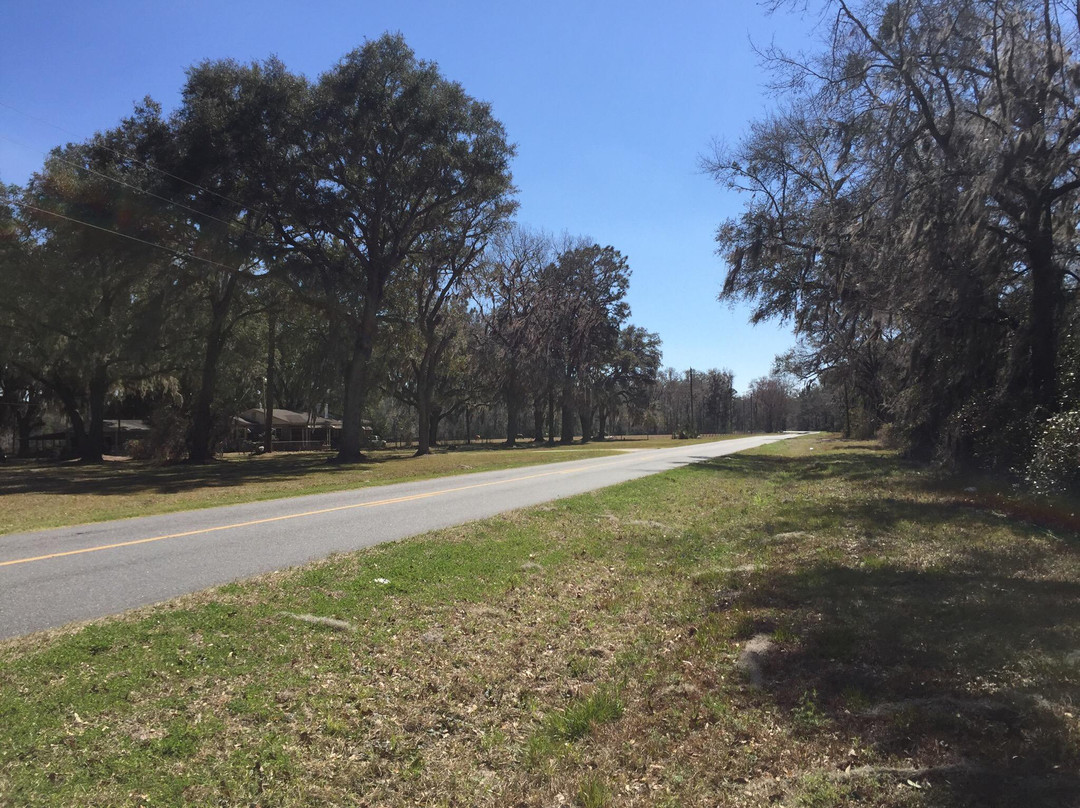 Apalachicola National Forest景点图片