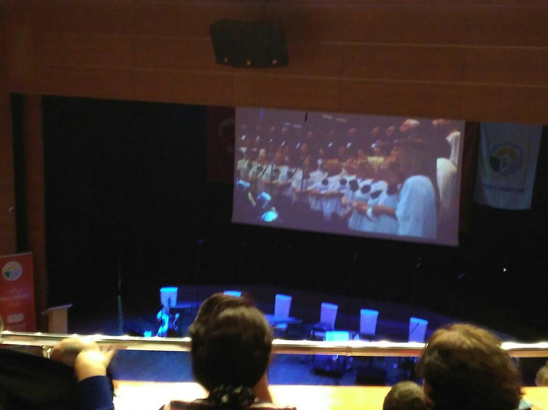 Idris Gulluce Kultur Merkez景点图片