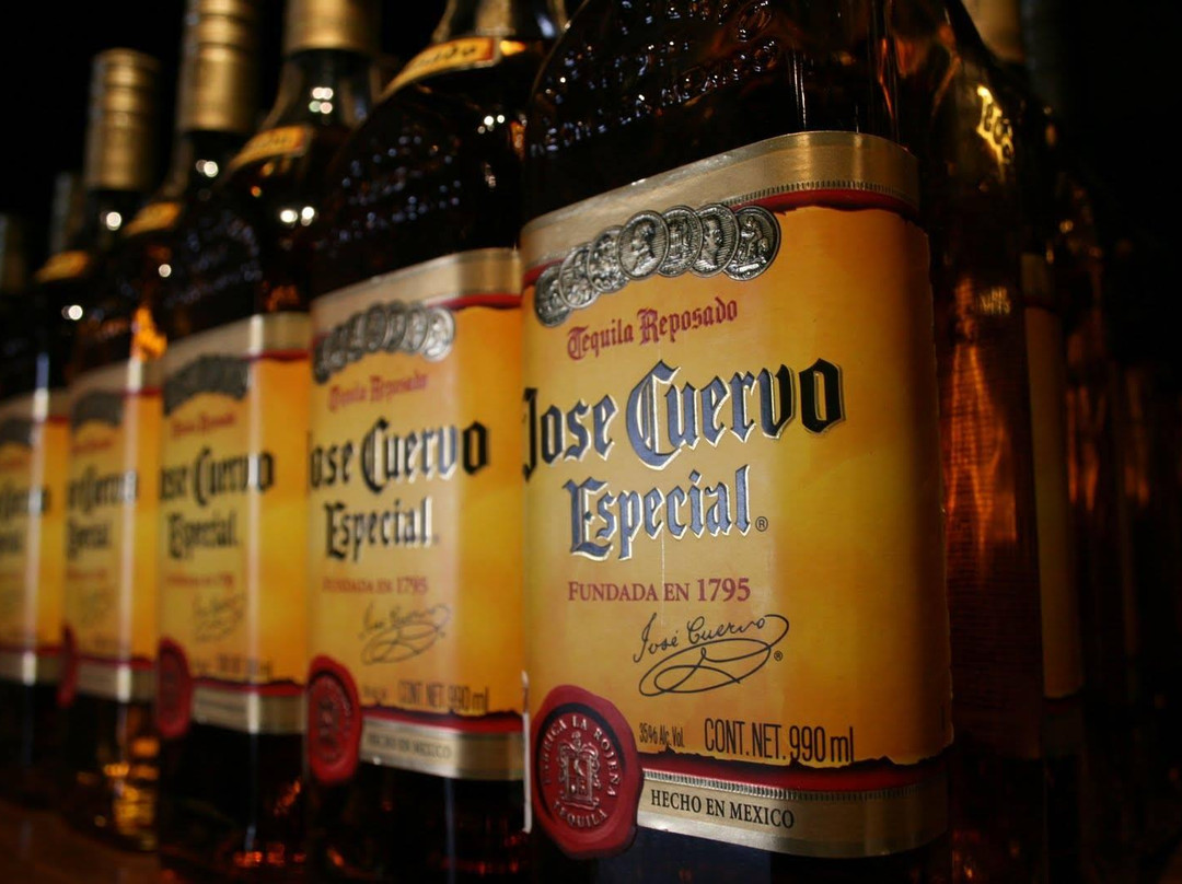 Chema Gin Club-圣克鲁斯-德特内里费必去景点