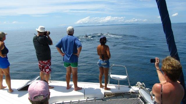 Whale and Dolphin Wisdom Retreats-Contadora Island必去景点