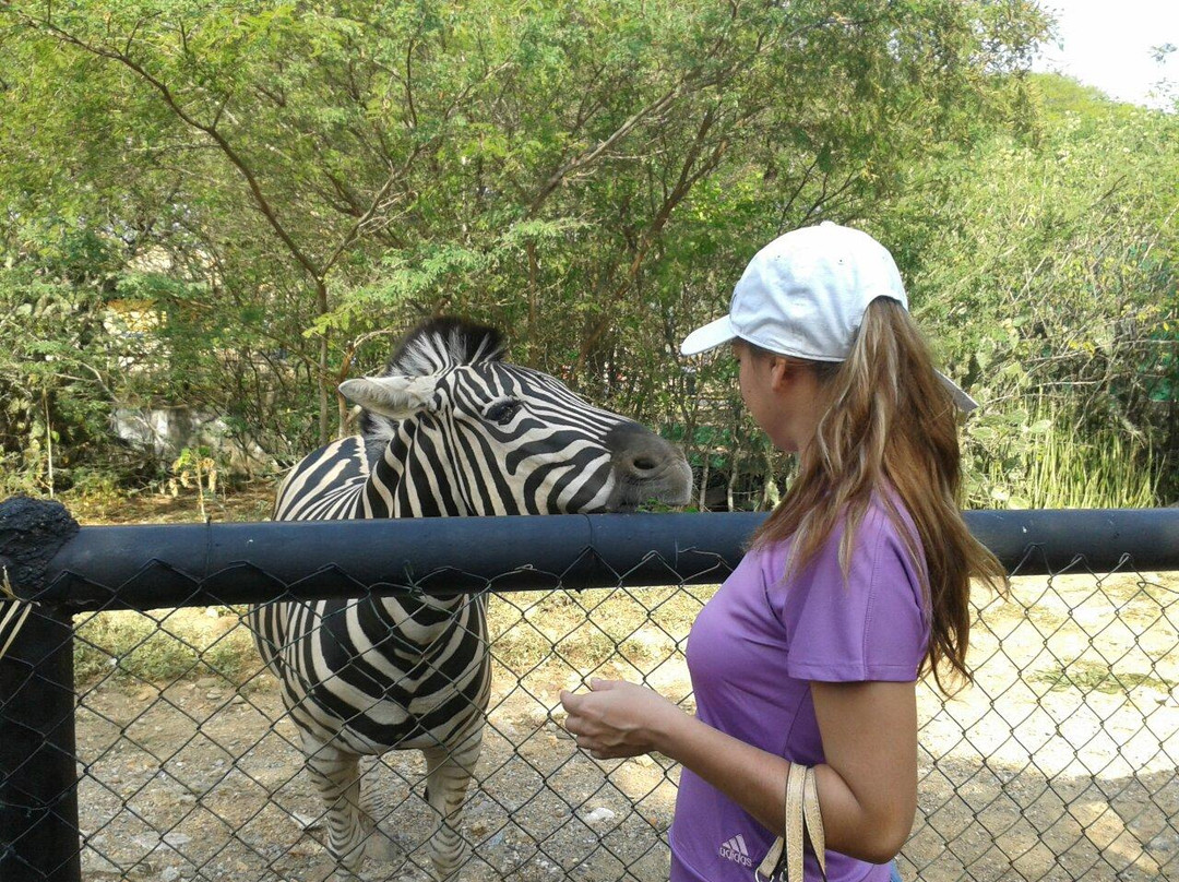 Parque Zoologico y Botanico Bararida景点图片