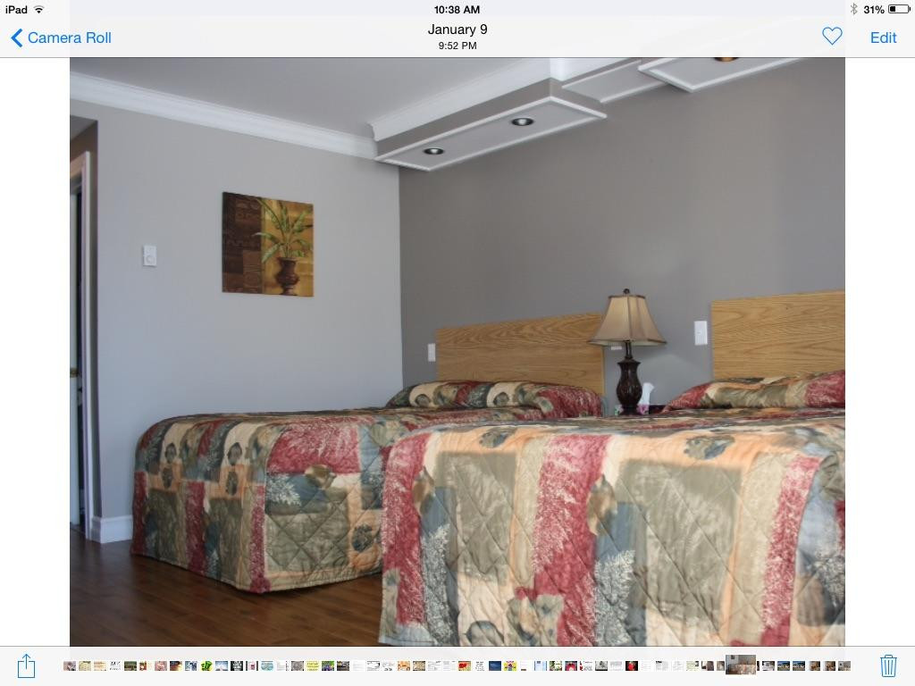 St. Brendan's Motel主图