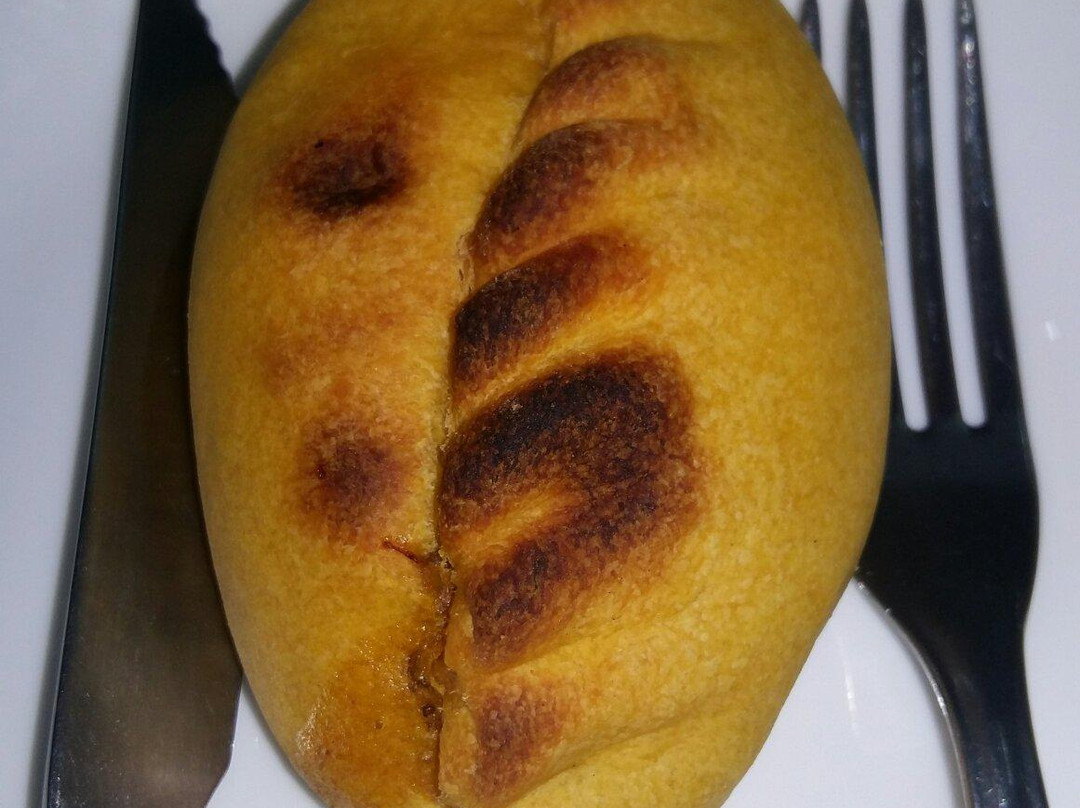 Saltenharia do Nandinho