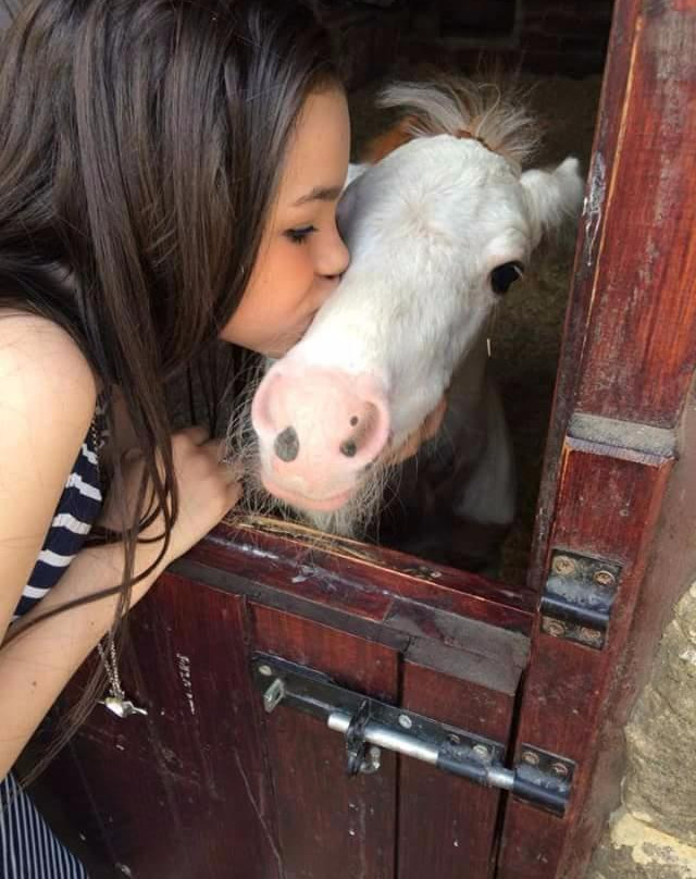 Hope Pastures景点图片