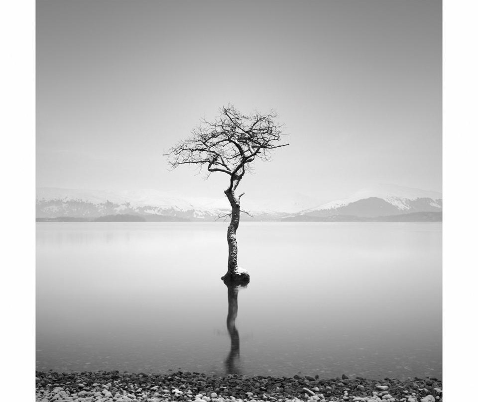Rohan Reilly Photography-金塞尔必去景点