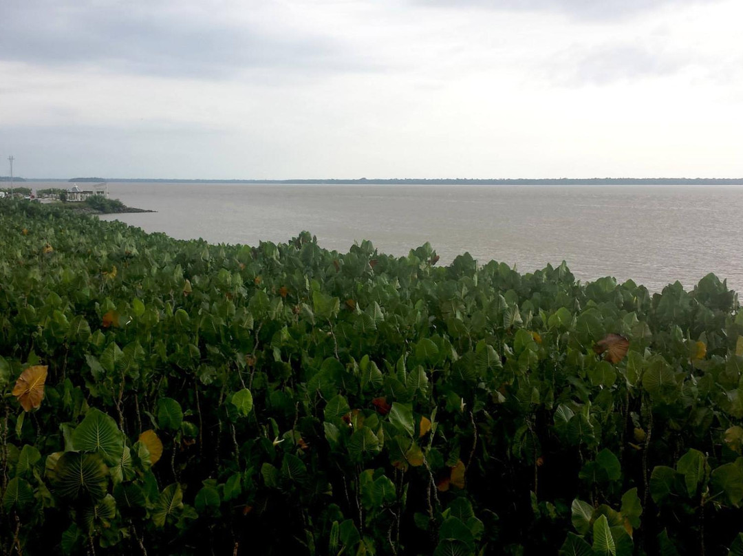 Parque Ecologico do Municipio de Belem-贝伦必去景点