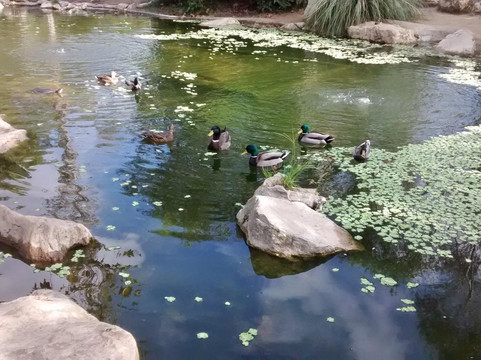 Hopkins Wilderness Park-雷东多海滩必去景点