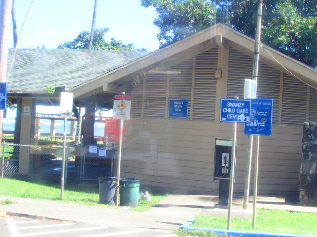 Swanzy Beach Park-卡阿瓦必去景点