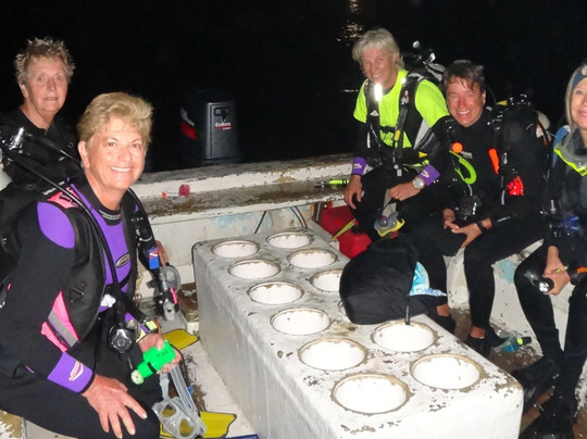 Scuba-Mex Dive Center-Paamul必去景点