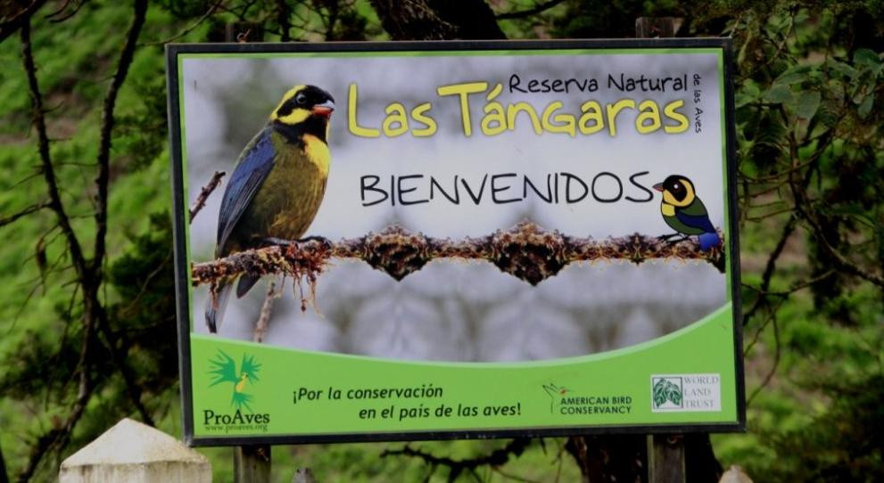Las Tangaras Bird Reserve-麦德林必去景点