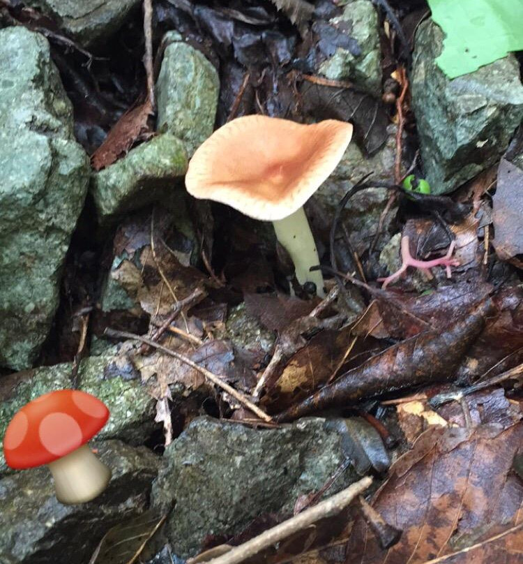 Paraeso Falls-蔚山必去景点