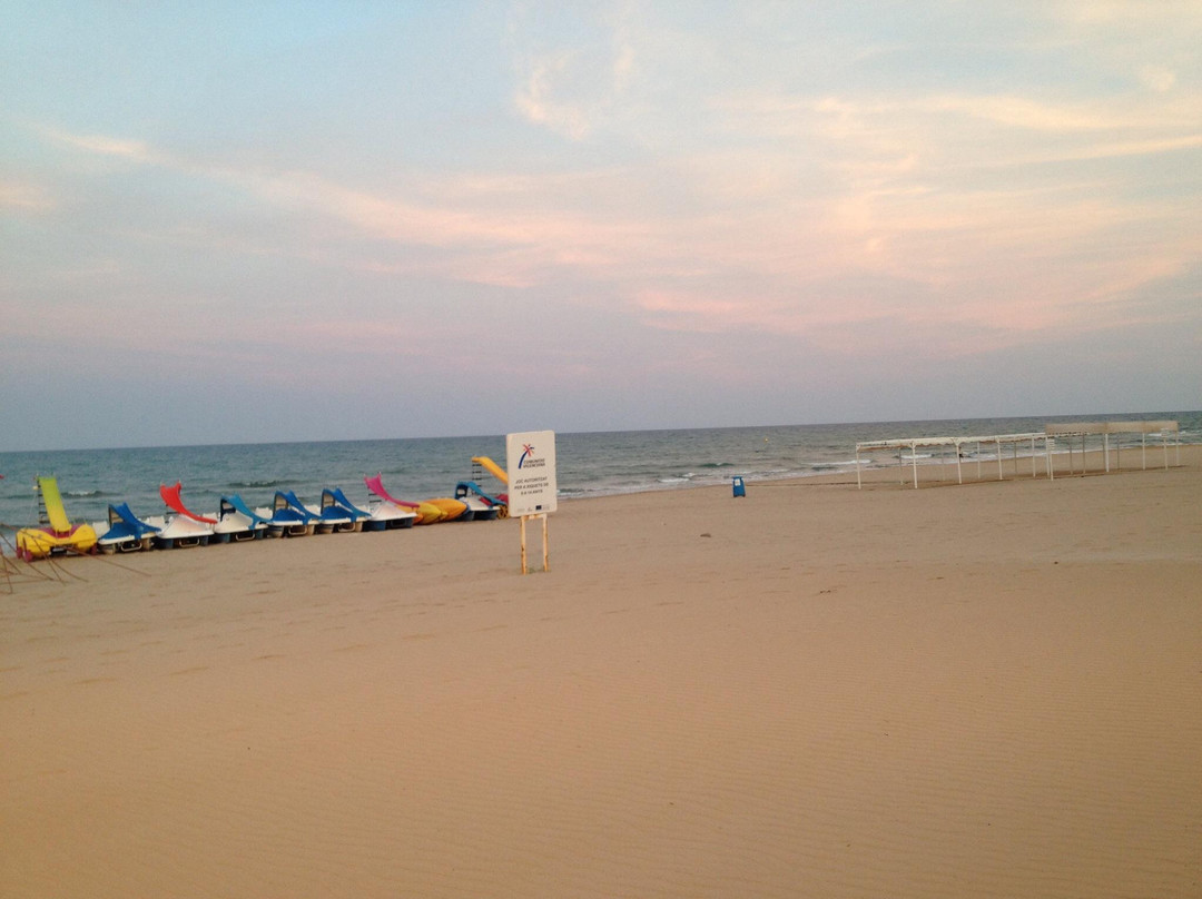 Playa de Guardamar景点图片