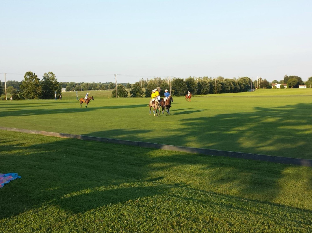 Brandywine Polo Club景点图片