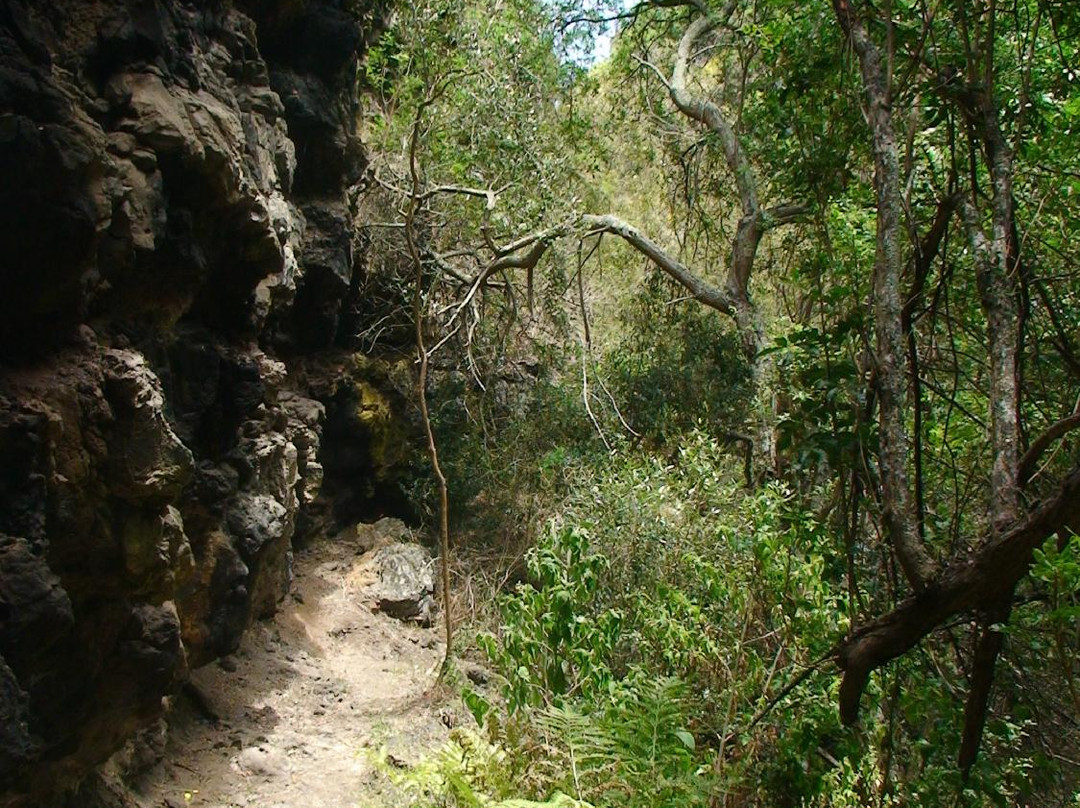 Heart Shaped Waterfall-St Helena Island必去景点