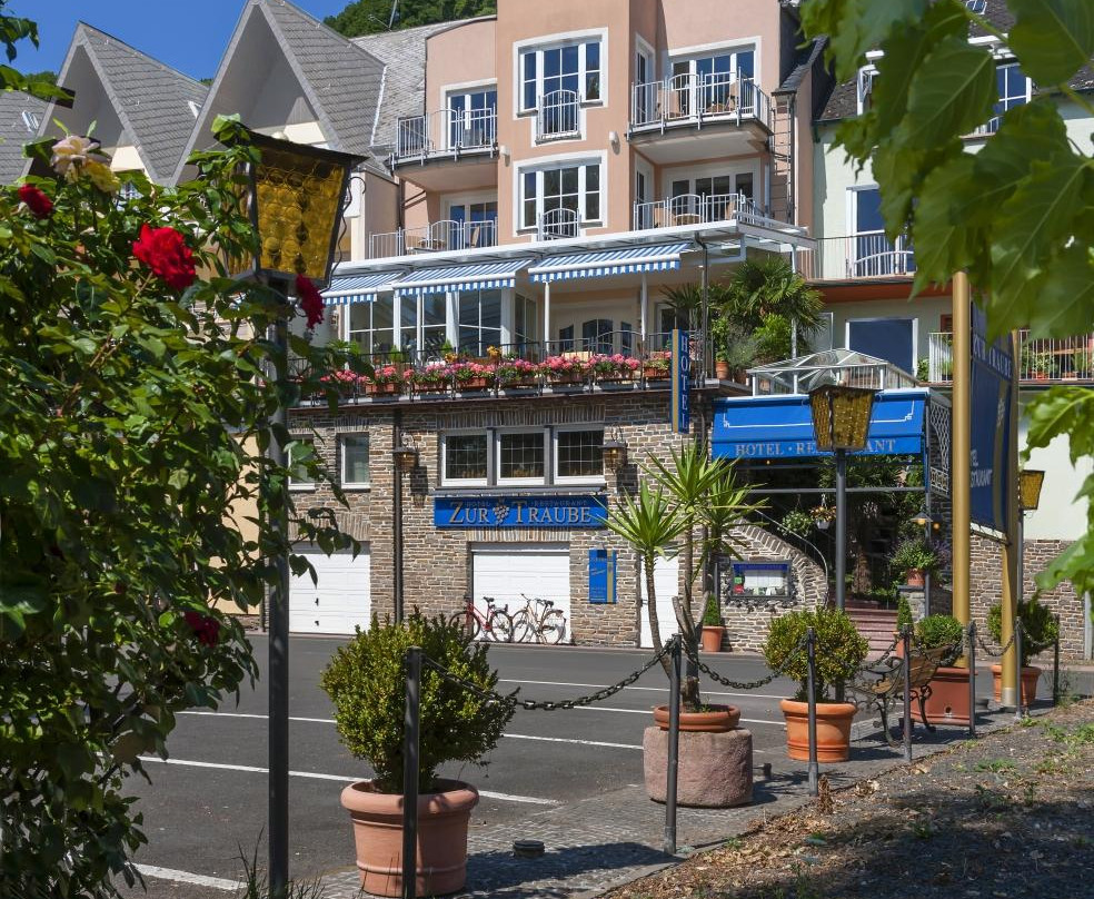 Hotel Zur Traube主图