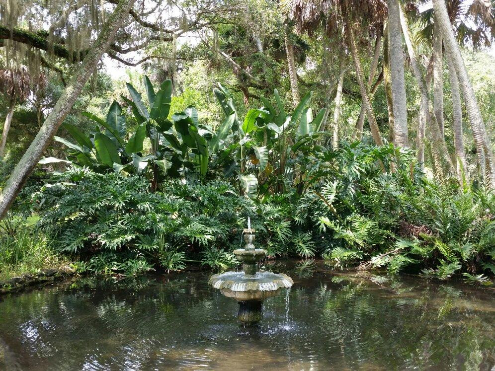 Washington Oaks Gardens State Park-棕榈海岸必去景点