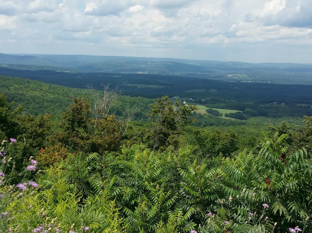 Pratt Rock-Prattsville必去景点