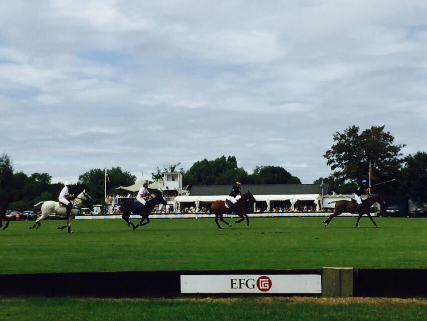 Ham Polo Club景点图片