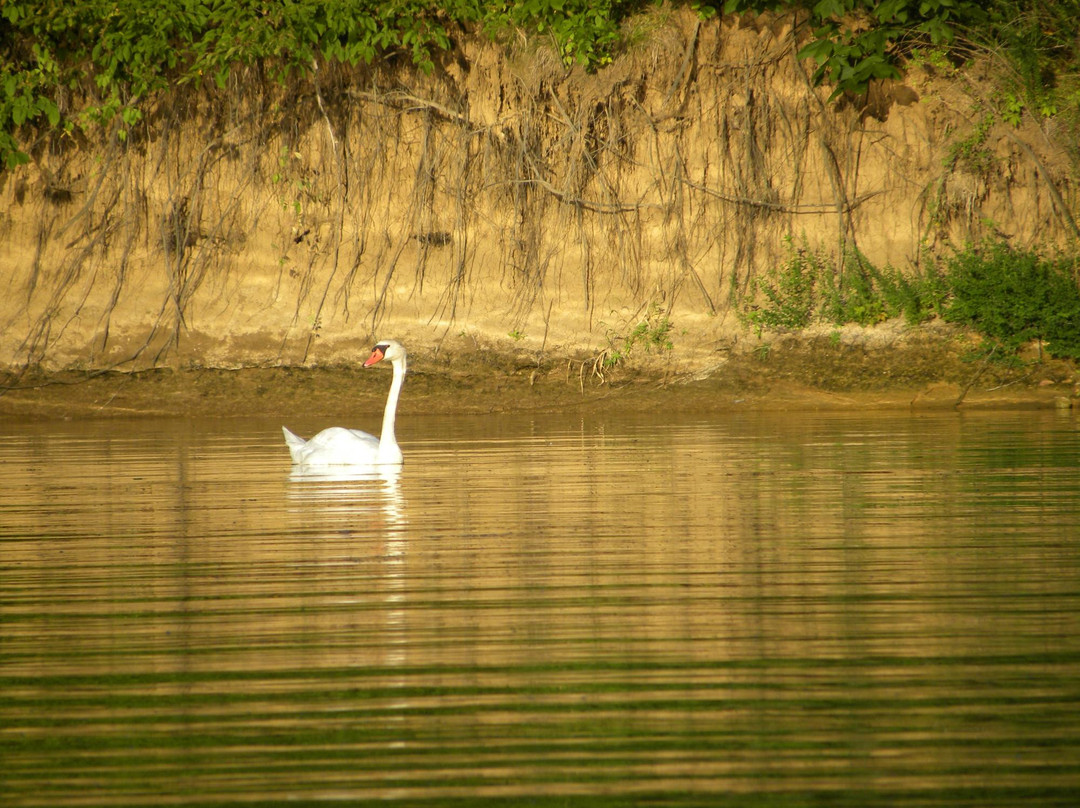Smithville Lake-Smithville必去景点