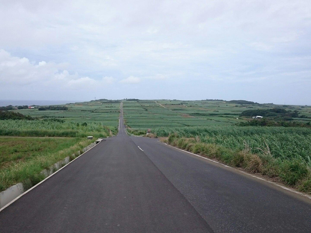 Straight Road景点图片
