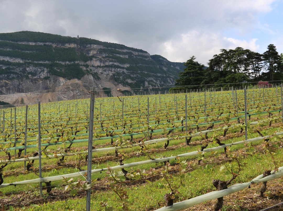 Veyrier旅游攻略图片