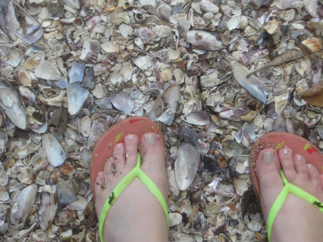 Praia das Conchas-乌巴图巴必去景点