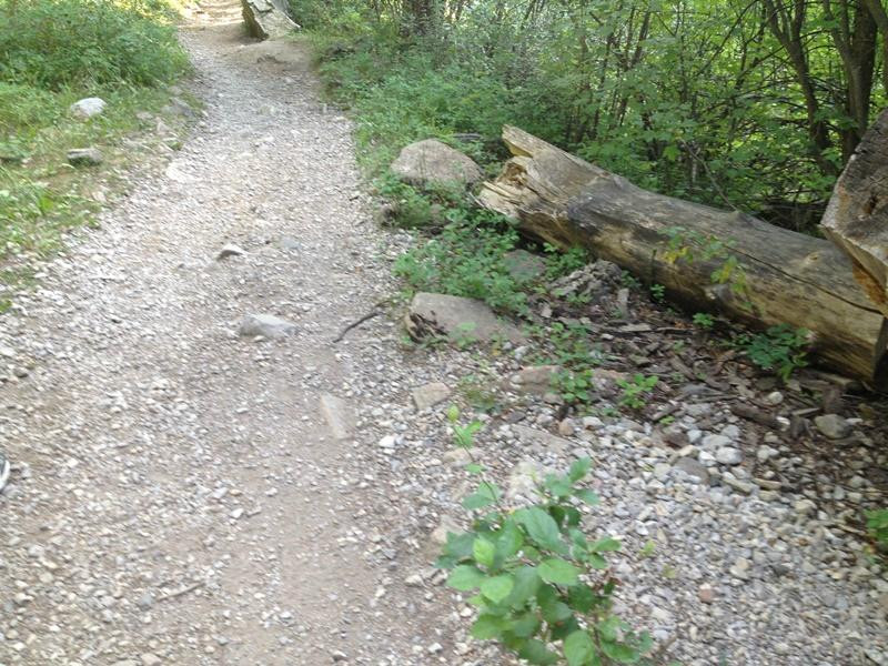 Middle Cottonwood Trailhead-博兹曼必去景点